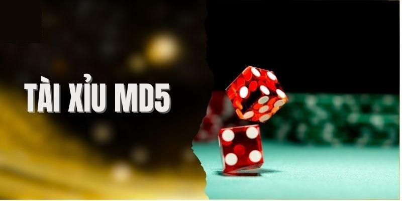 Giao diện ứng dụng hiển thị dữ liệu rõ ràng, dễ theo dõi